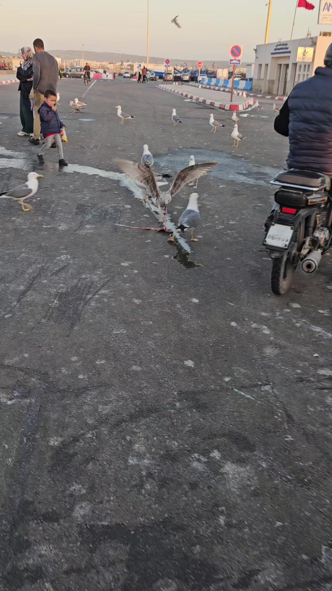 @Юлия Танкеева