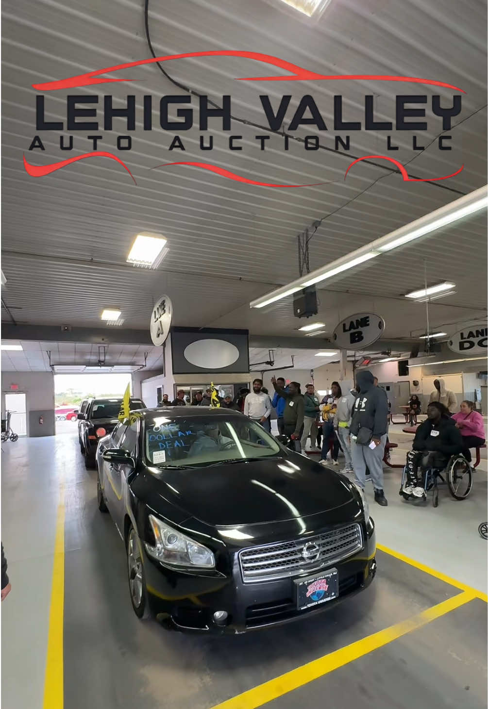 @Lehigh Valley Auto Auction