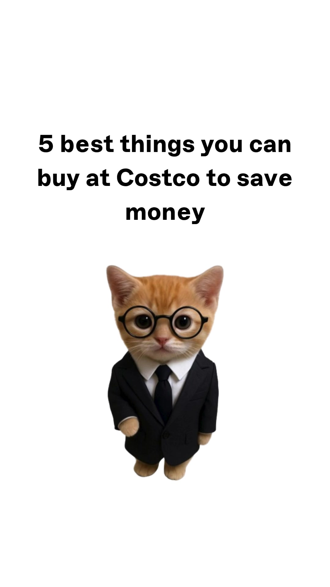 @wallstreetkitty