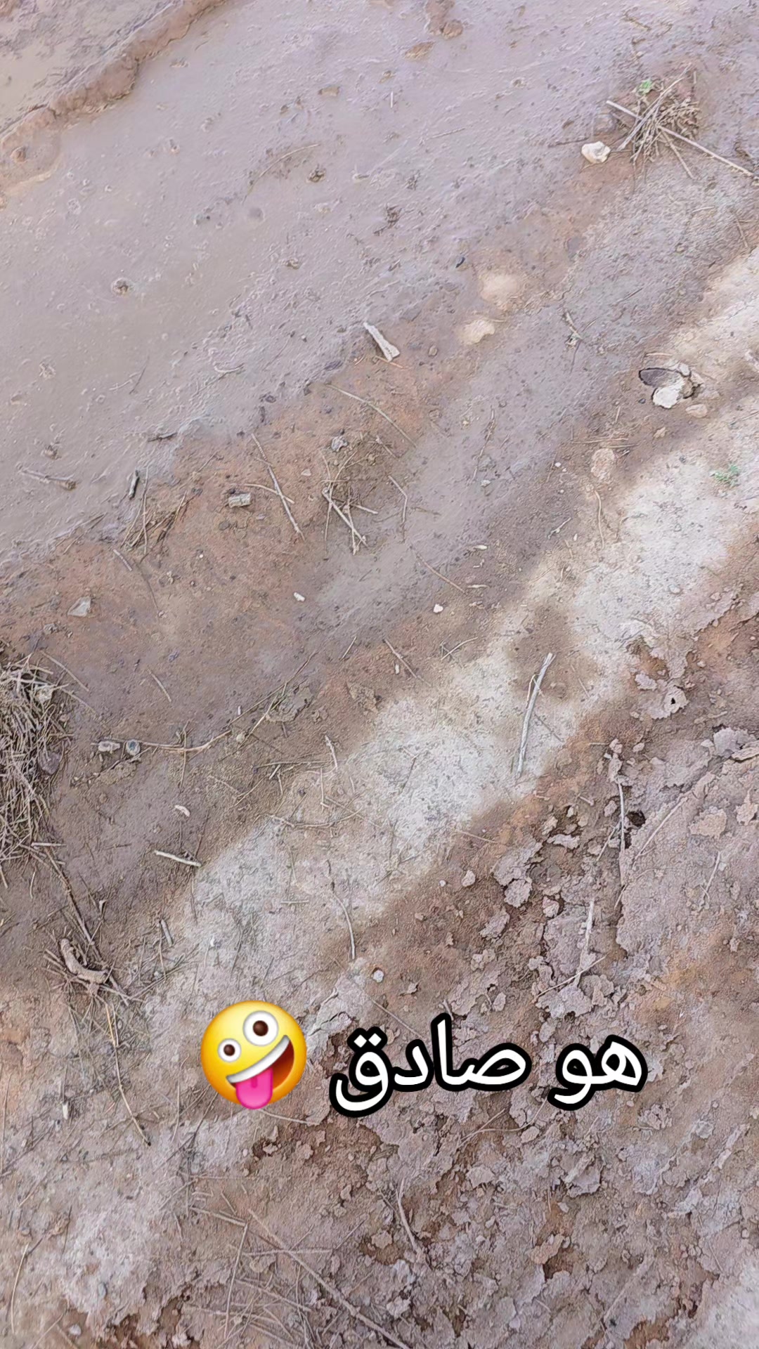 @ابوايوب الشمري