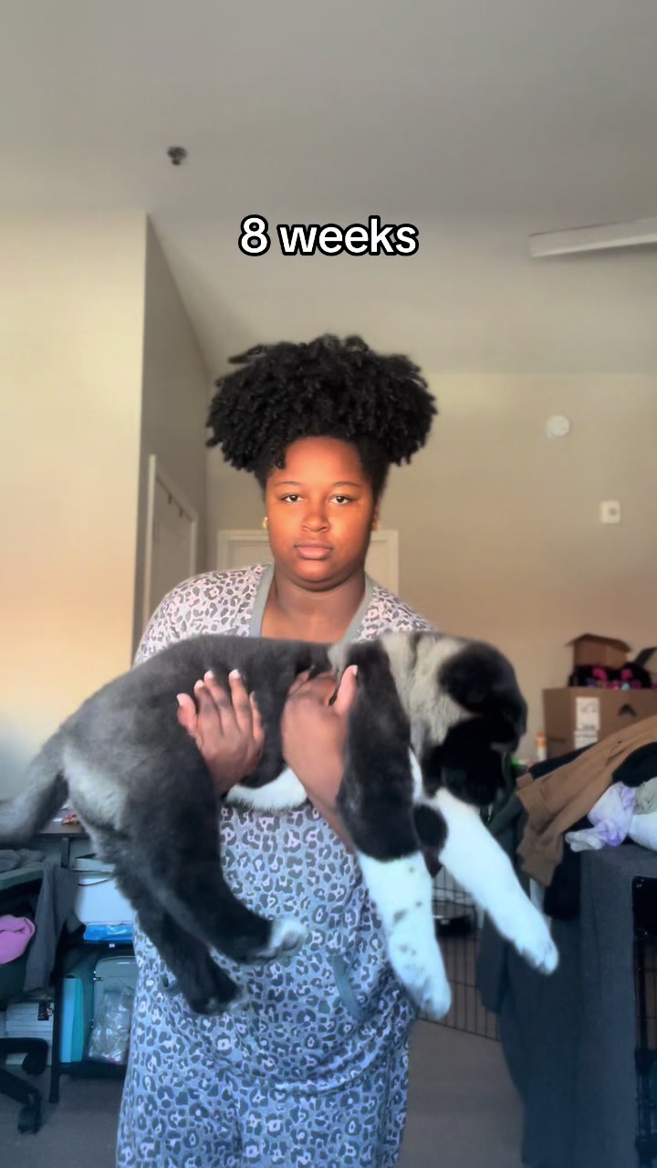 @tailsssss_