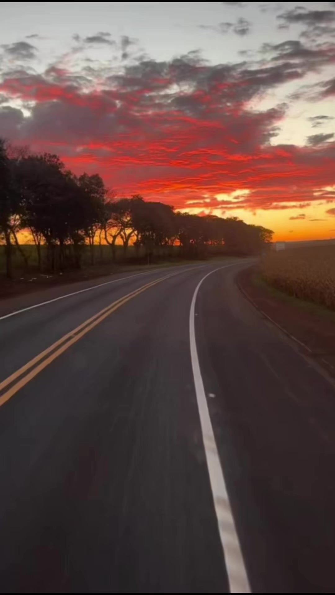 @𝓔𝓵𝓮𝓷𝓪 𝓐𝓶𝓮𝓮𝓻𝓲