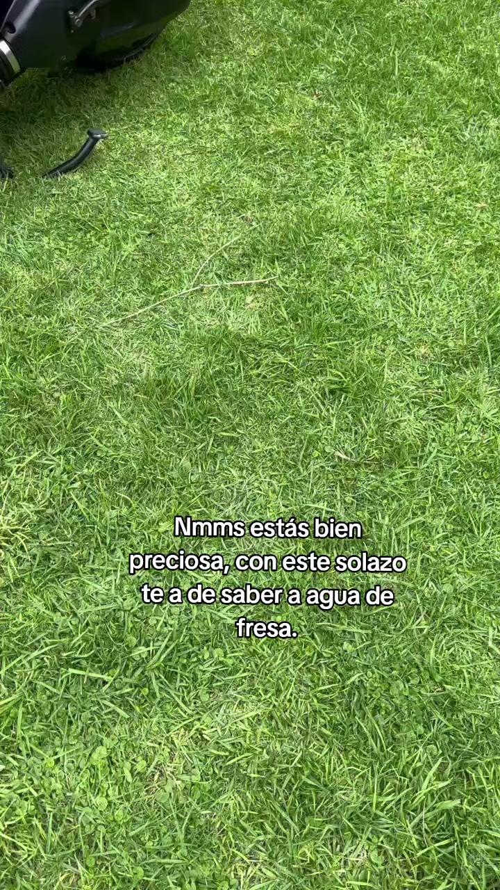 @Nen&eacute;rre
