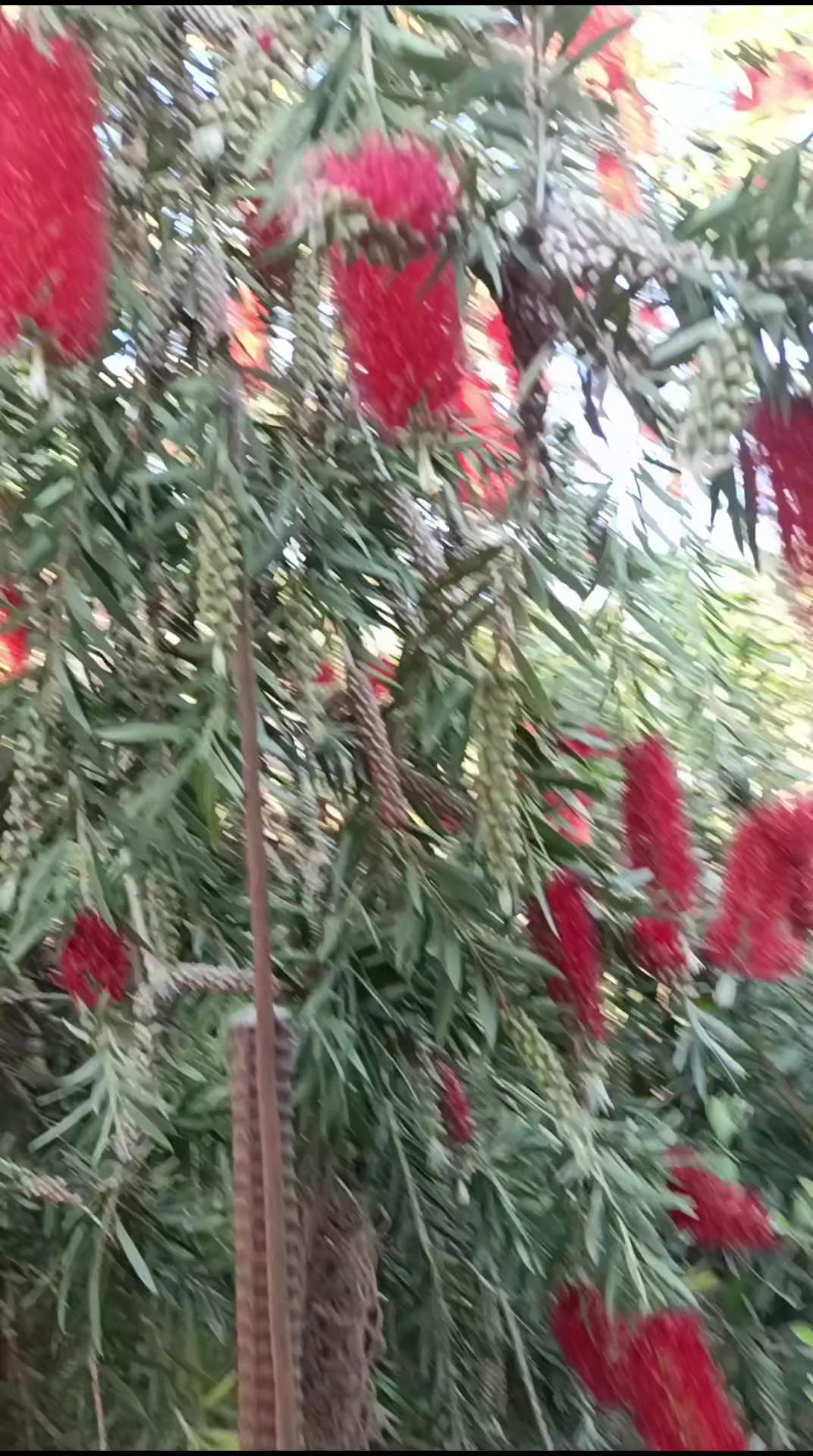 @Bir gəribə həyat 🇦🇿🧿 🇷🇺