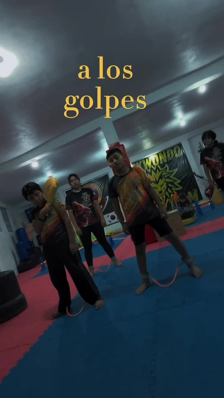 @taekwondolionsteam