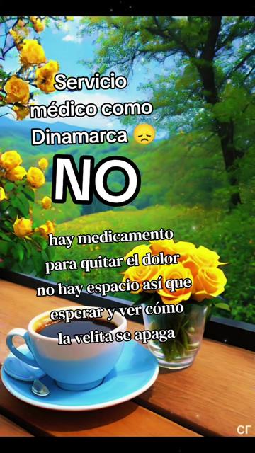 @rafaeela3 leticianovoa1