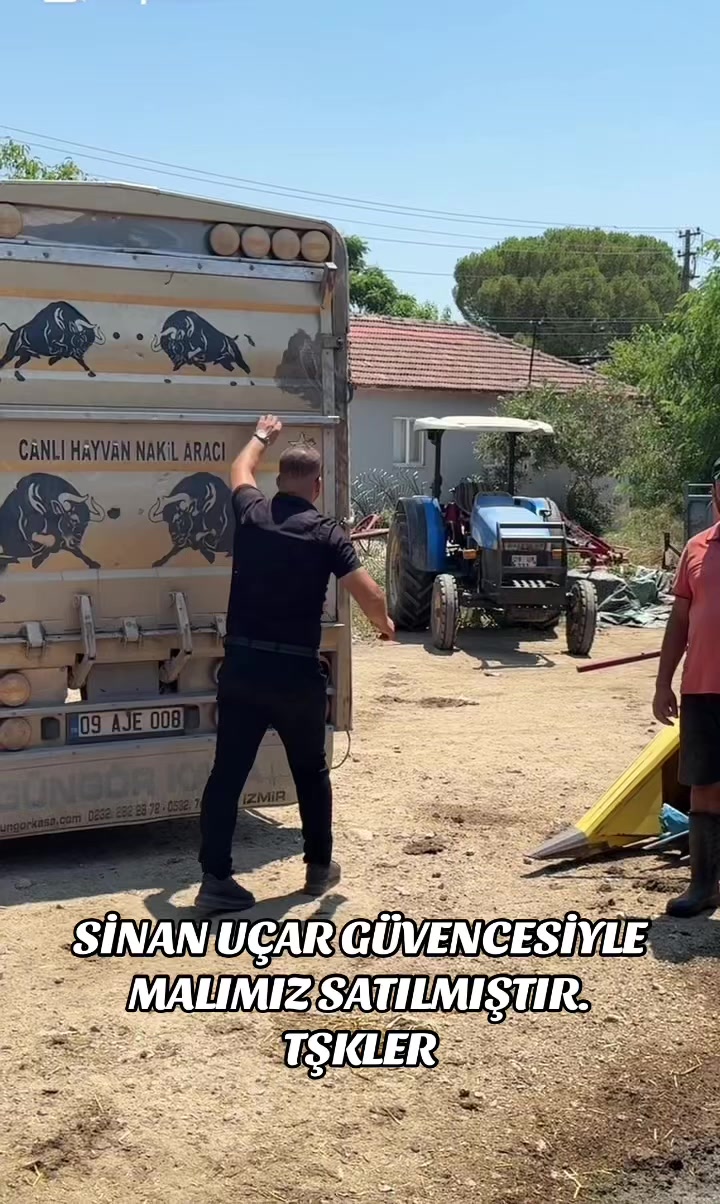 @CELEP SİNAN UÇAR