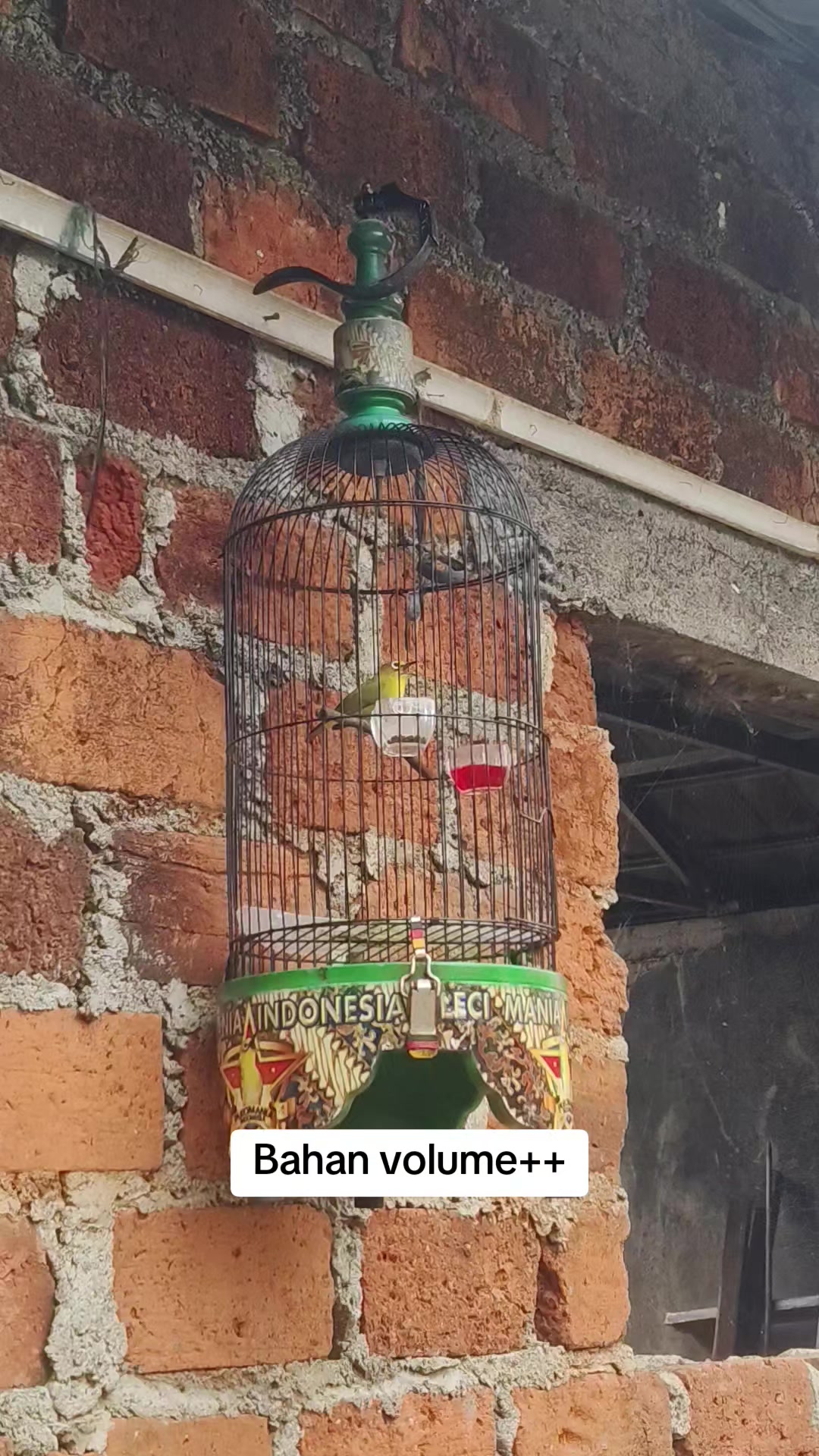 @NDX BIRD FARM