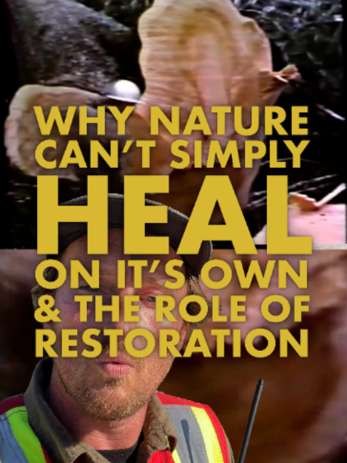 @Nerdy About Nature (Ross Reid)