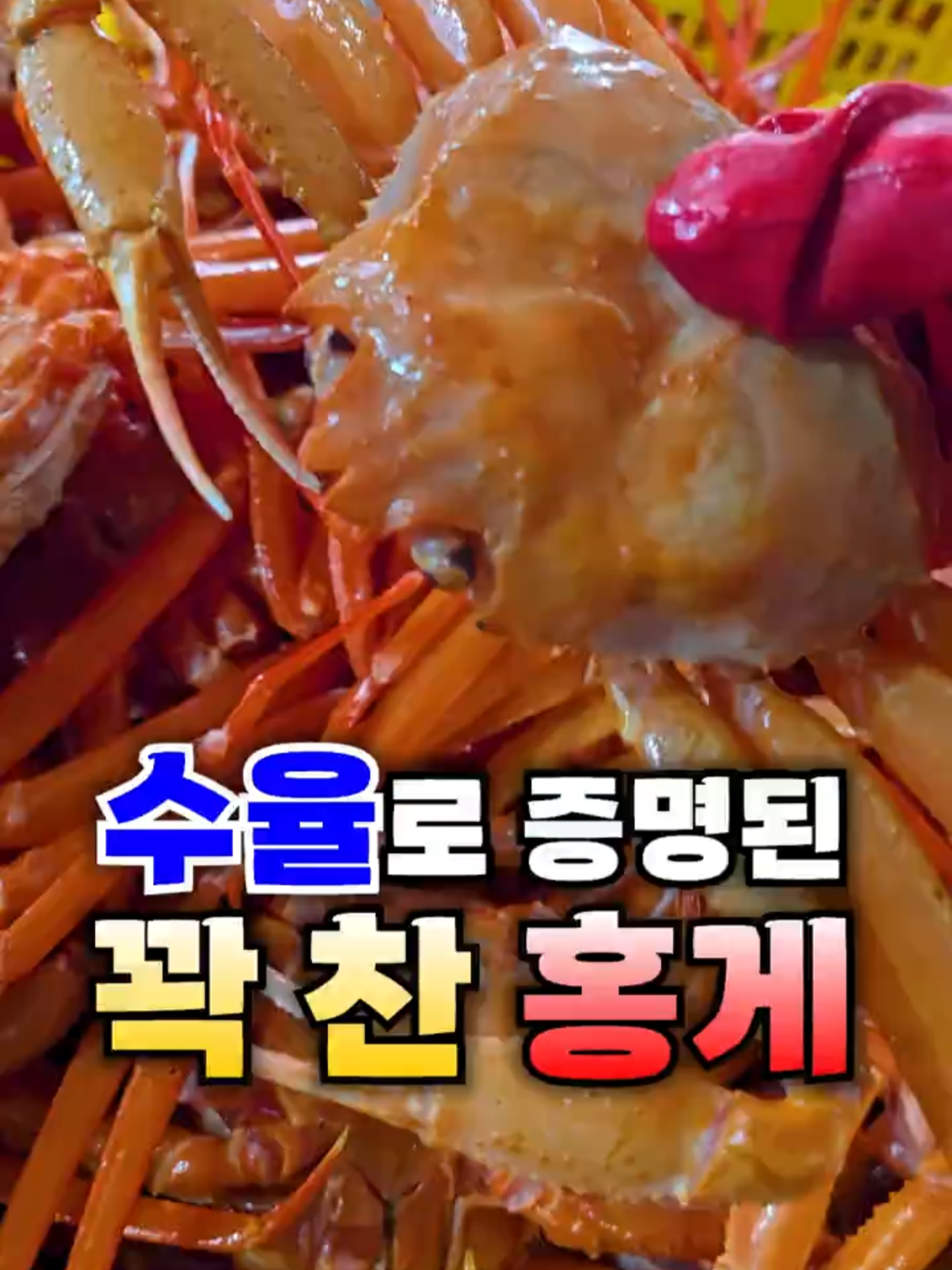 @싱싱헌터스