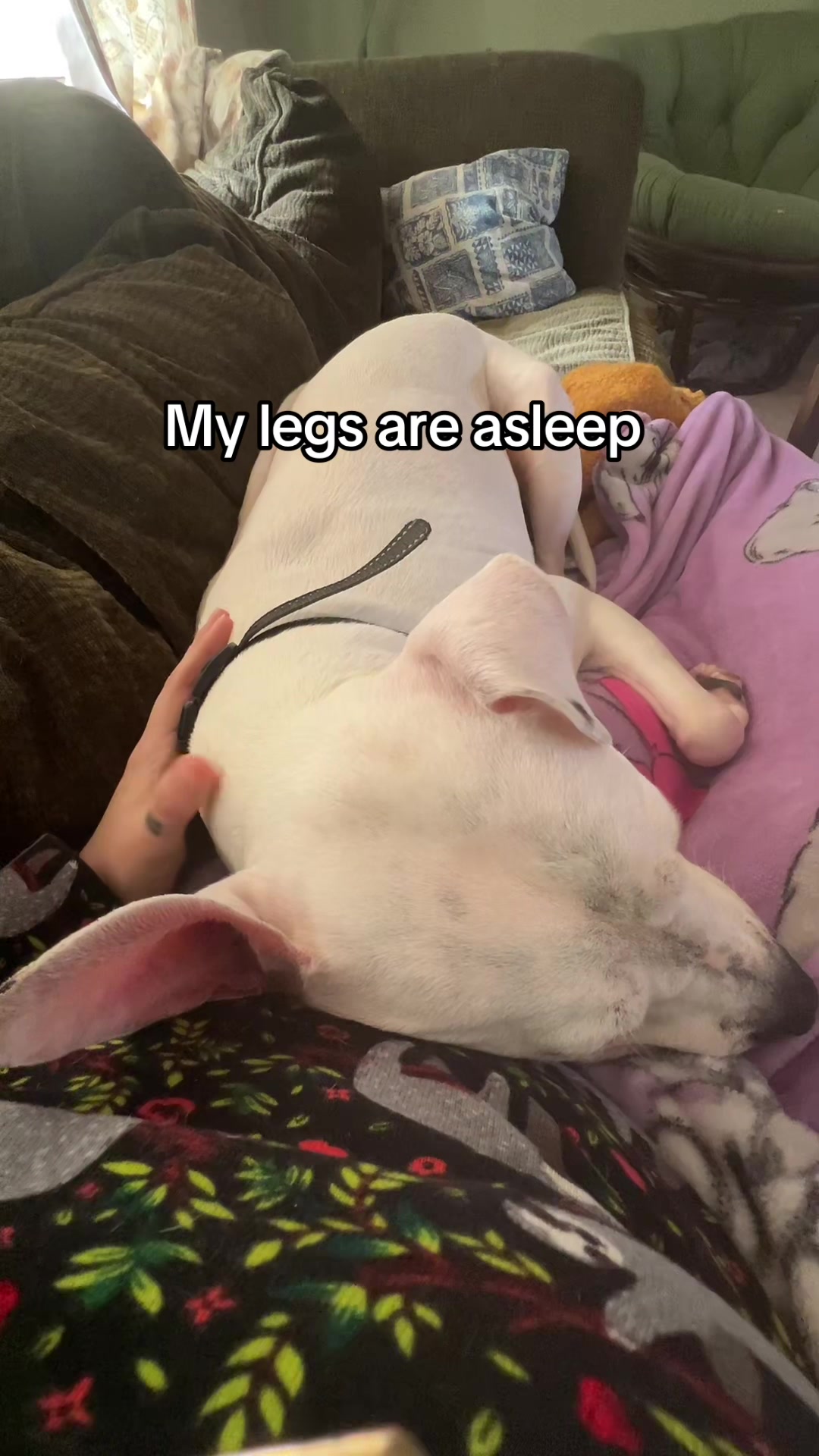 @msheather855