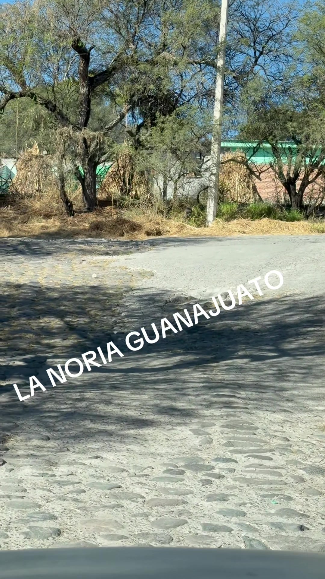 @Antony Saavedra