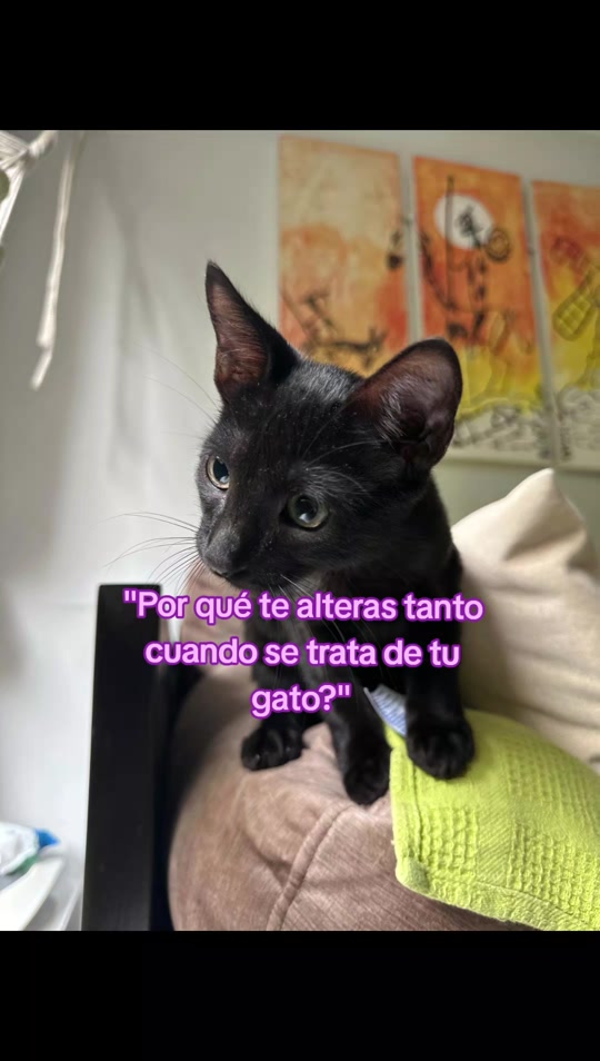 @Milhi