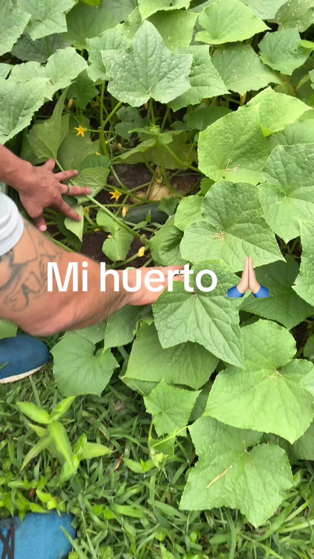 @🥰ANALY🙏🏻😎🐭🐦&zwj;🔥🌴🍉🥀😍🐆