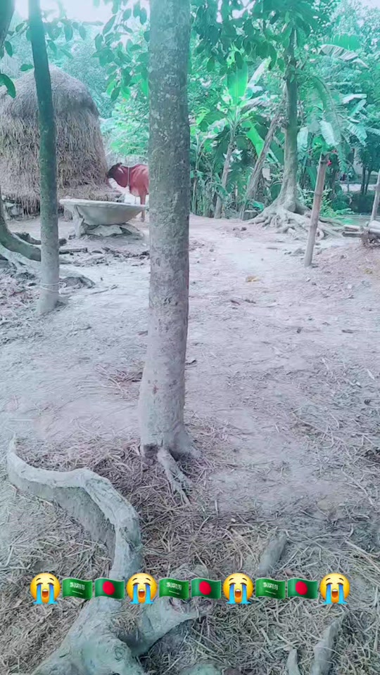 @💋ঝরনা💋💔👌💋