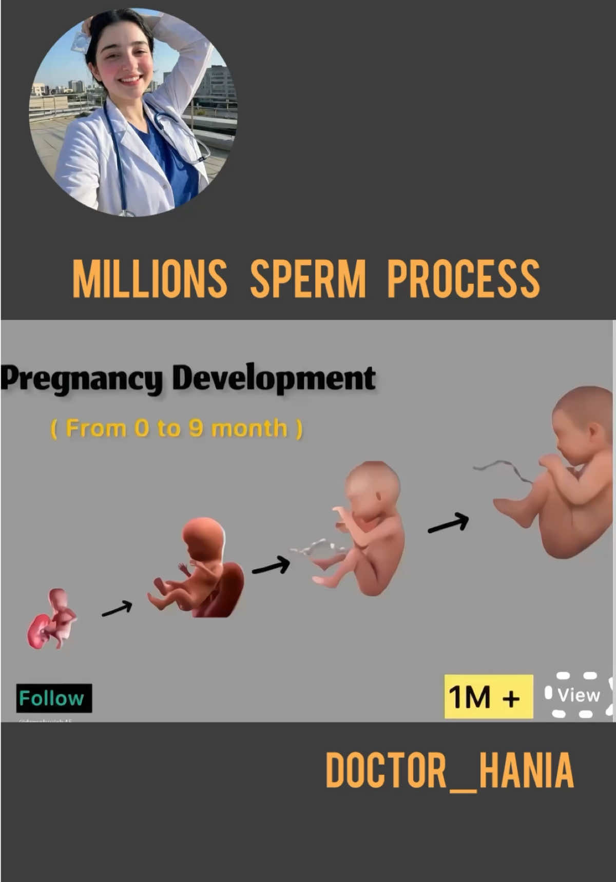 @Doctor Hania