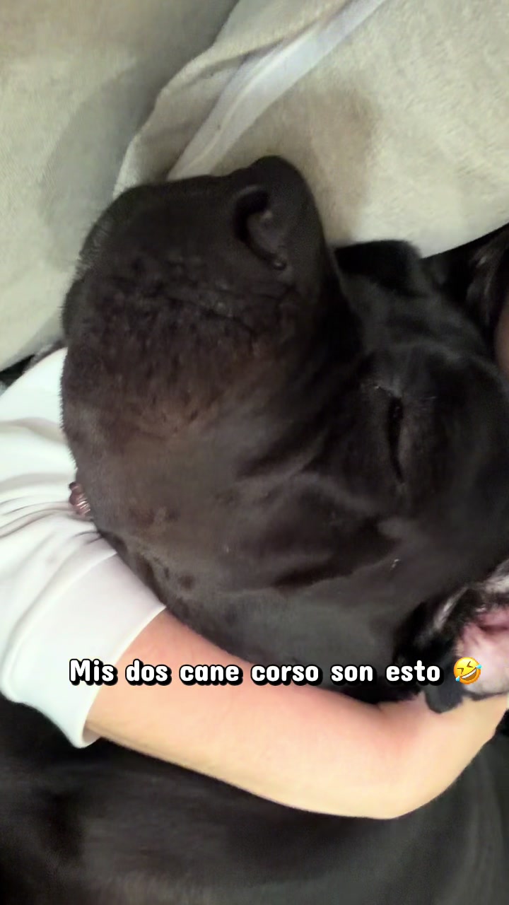 @Anto