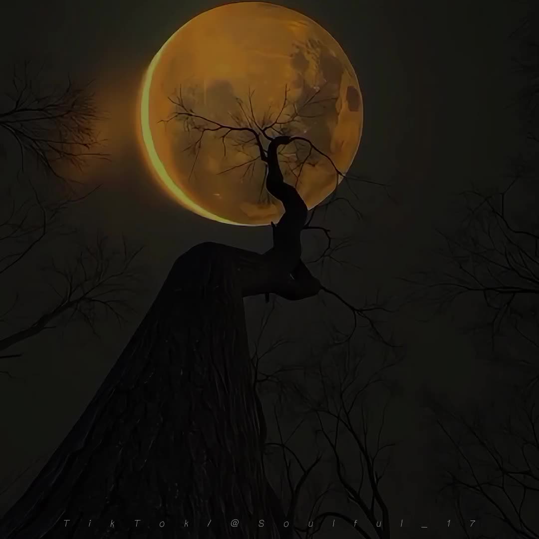 @sᴏᴜʟ🕊