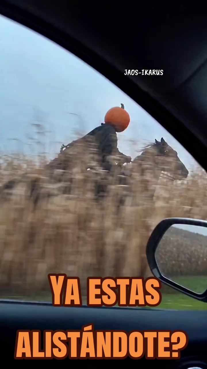 @JAOS-IKARUS