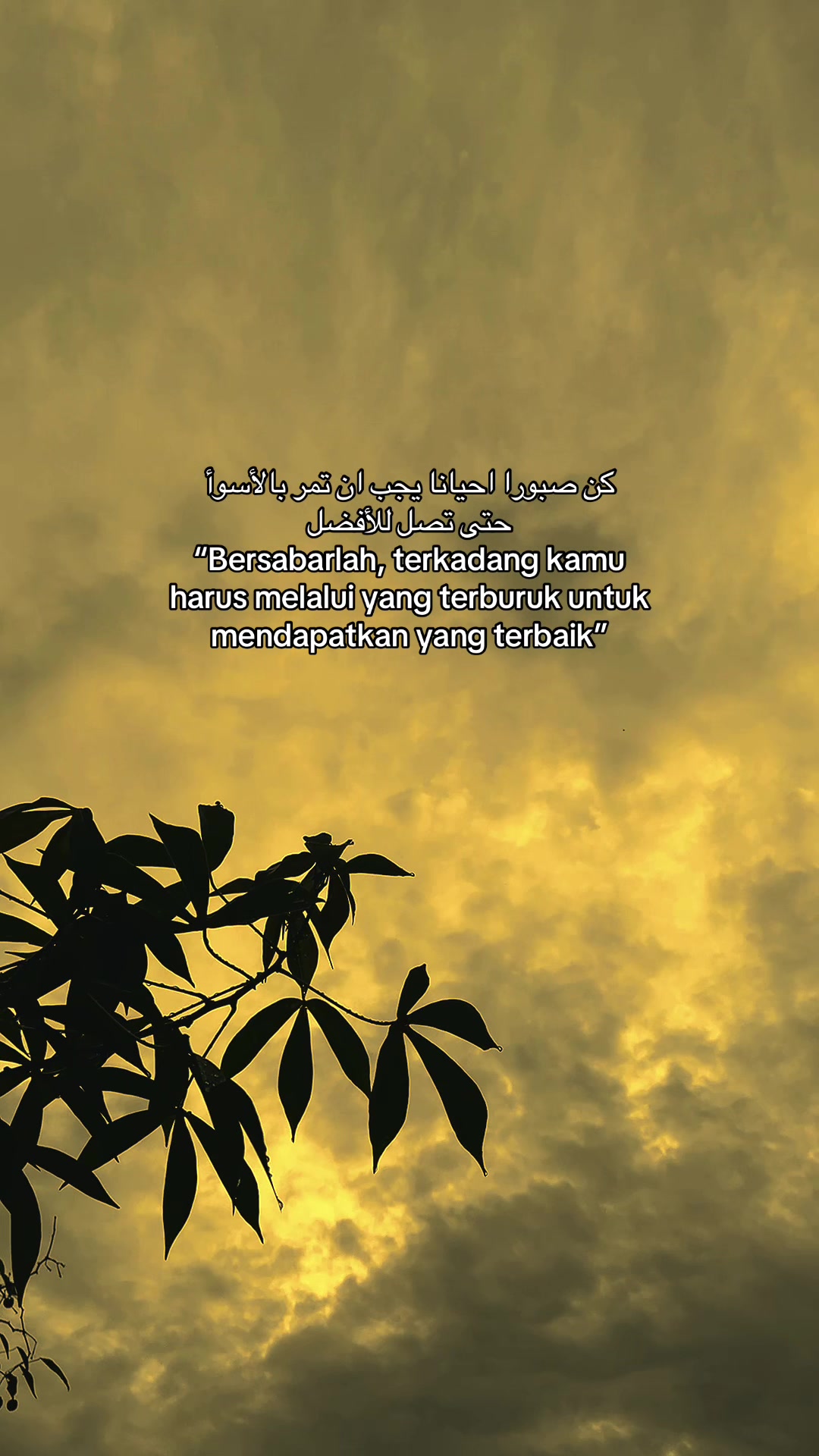 @من هي ؟