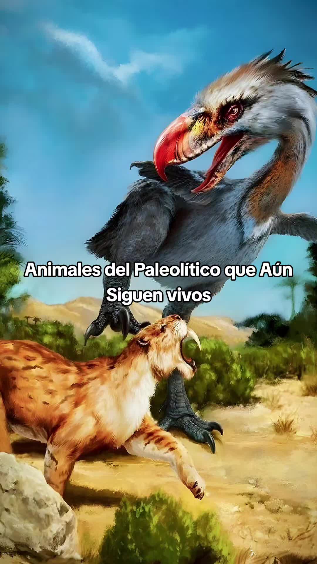 @Viva Historia