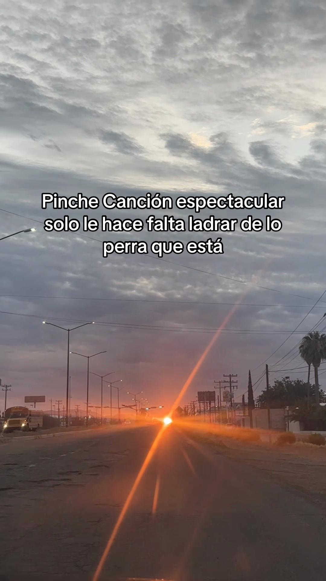 @yarelicl🩶