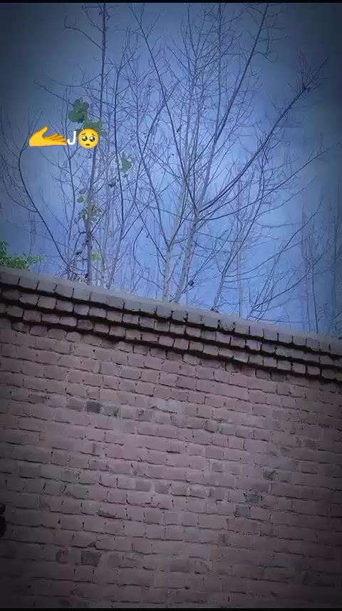 @U💔J Afridi 😔🌹