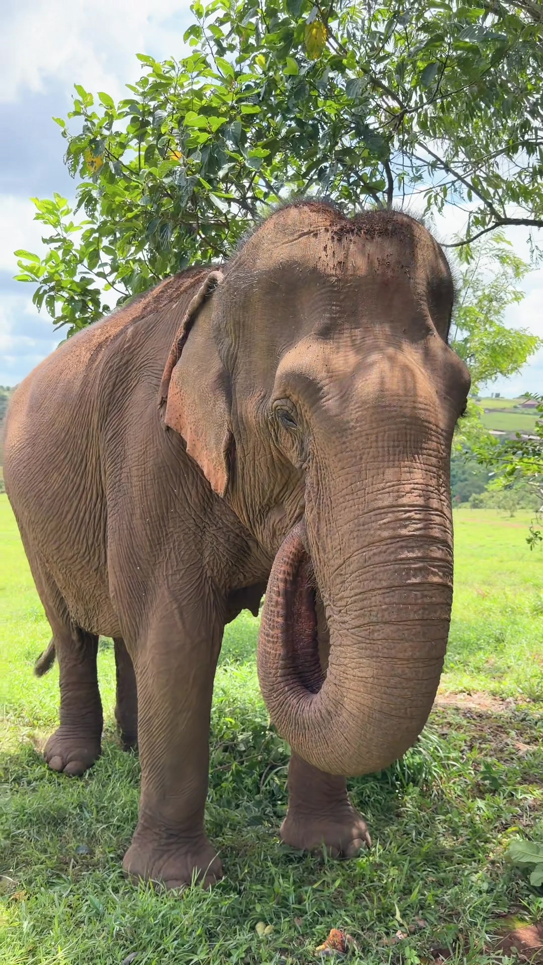 @Sreysros Susi ( អា ស៊ូសុី )