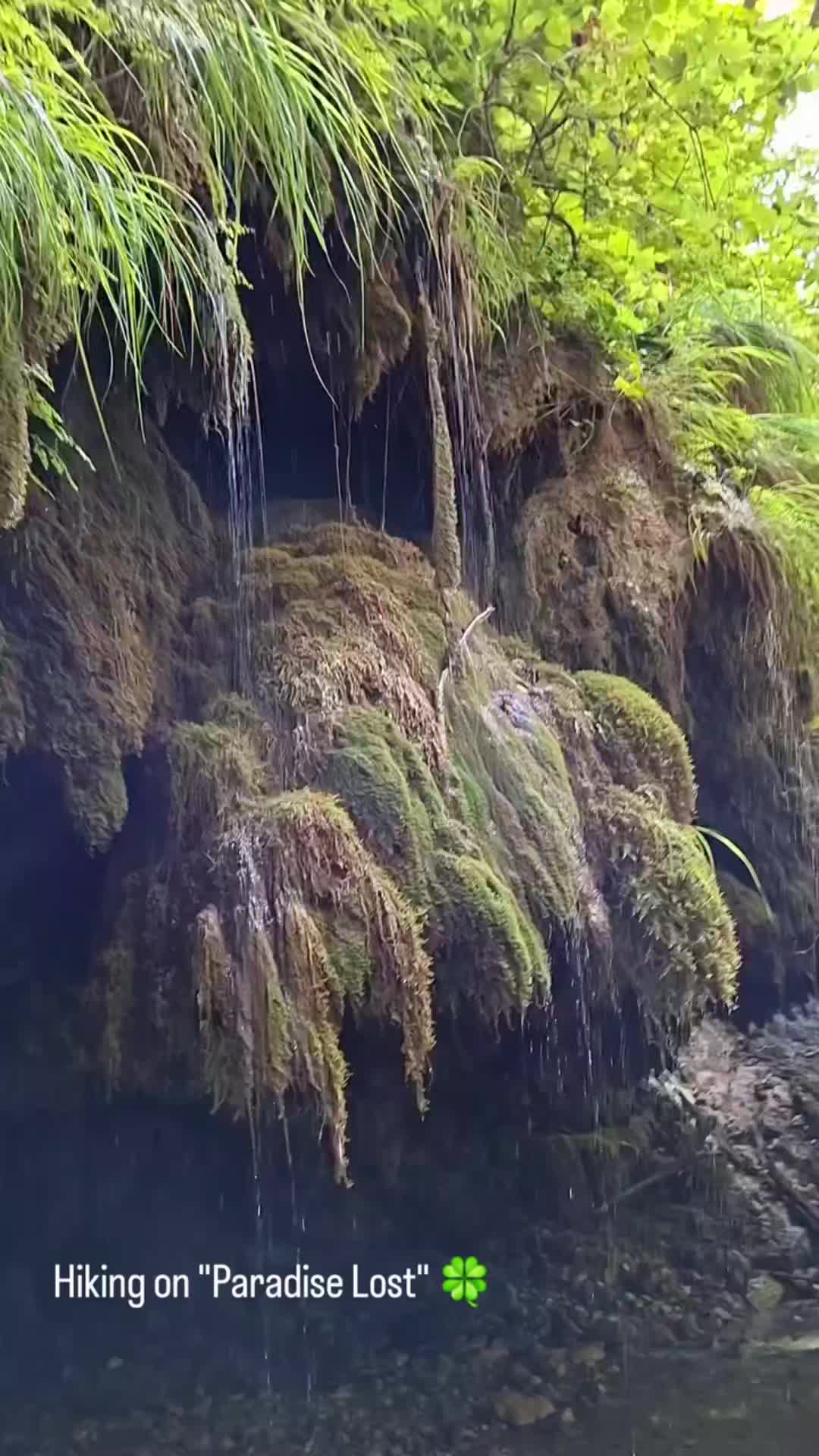 @CostaNaturaTrekking🍀🐞😎