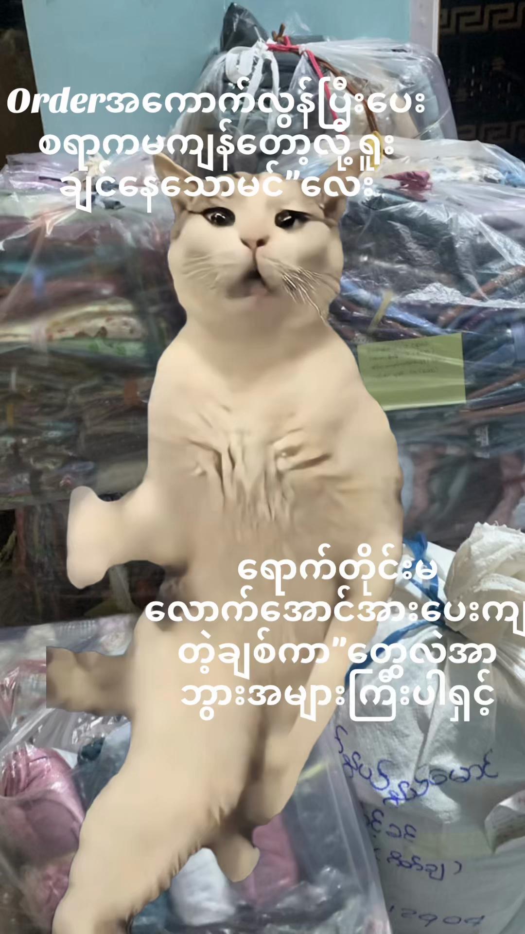 @shwesinonlinemart
