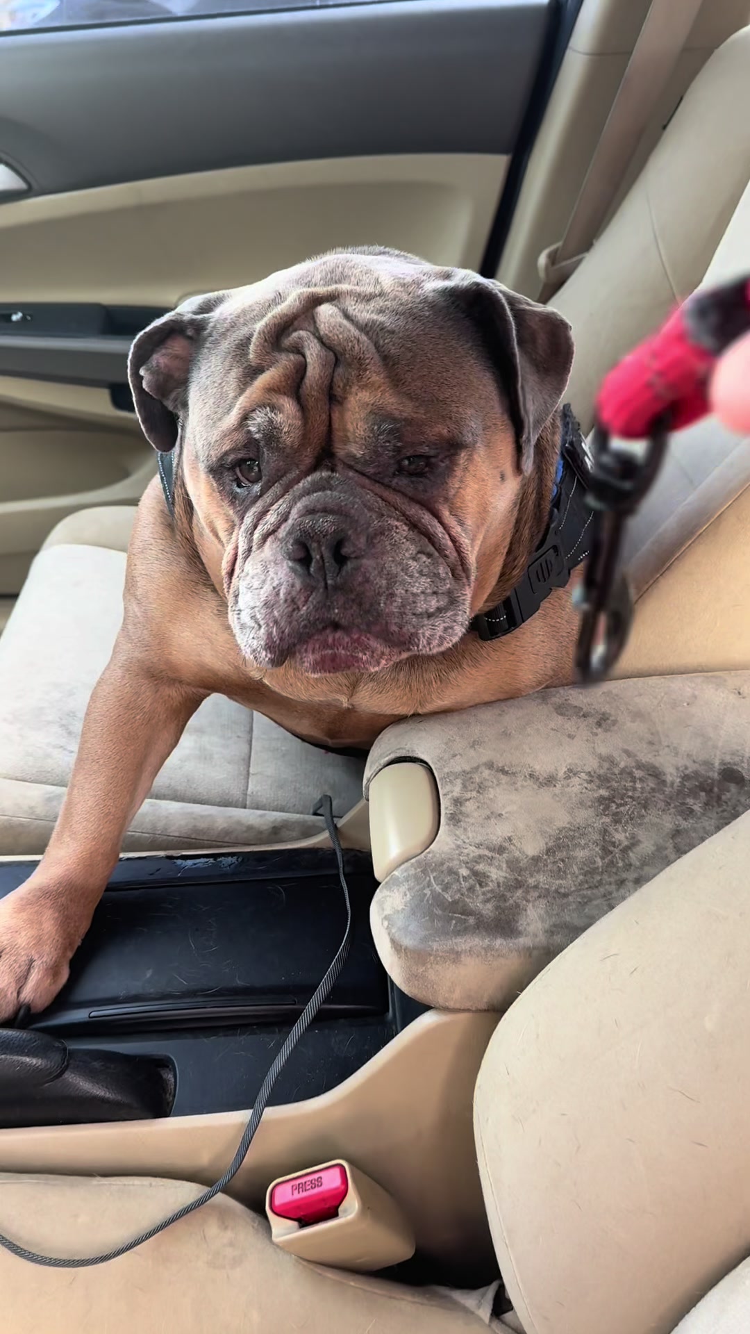 @barkleythabulldog