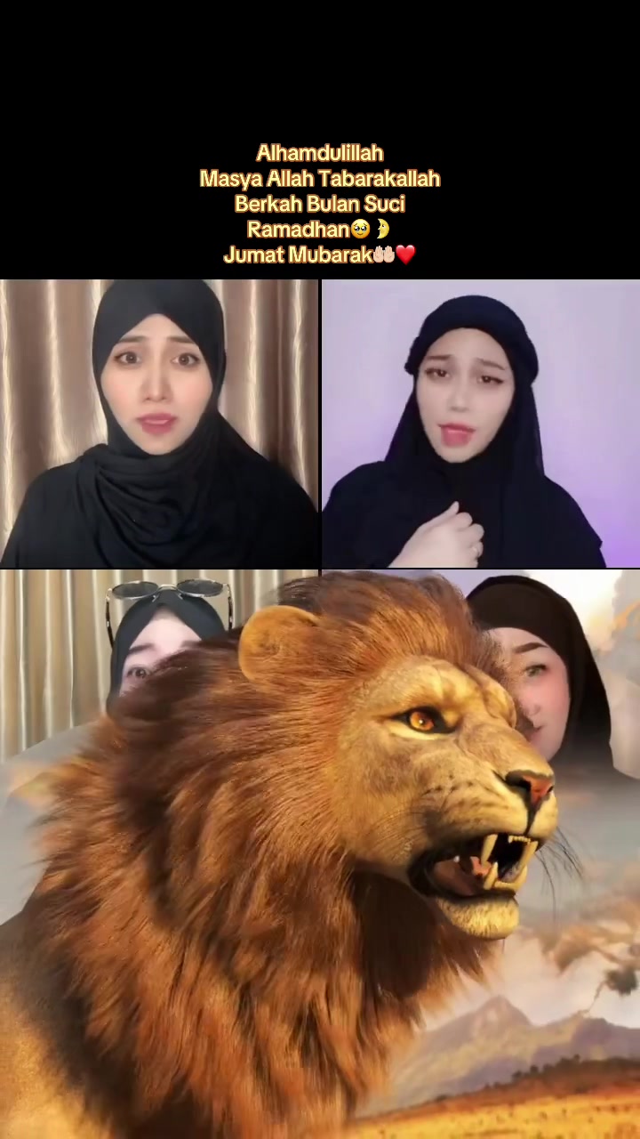 @Reyna Mumtaz