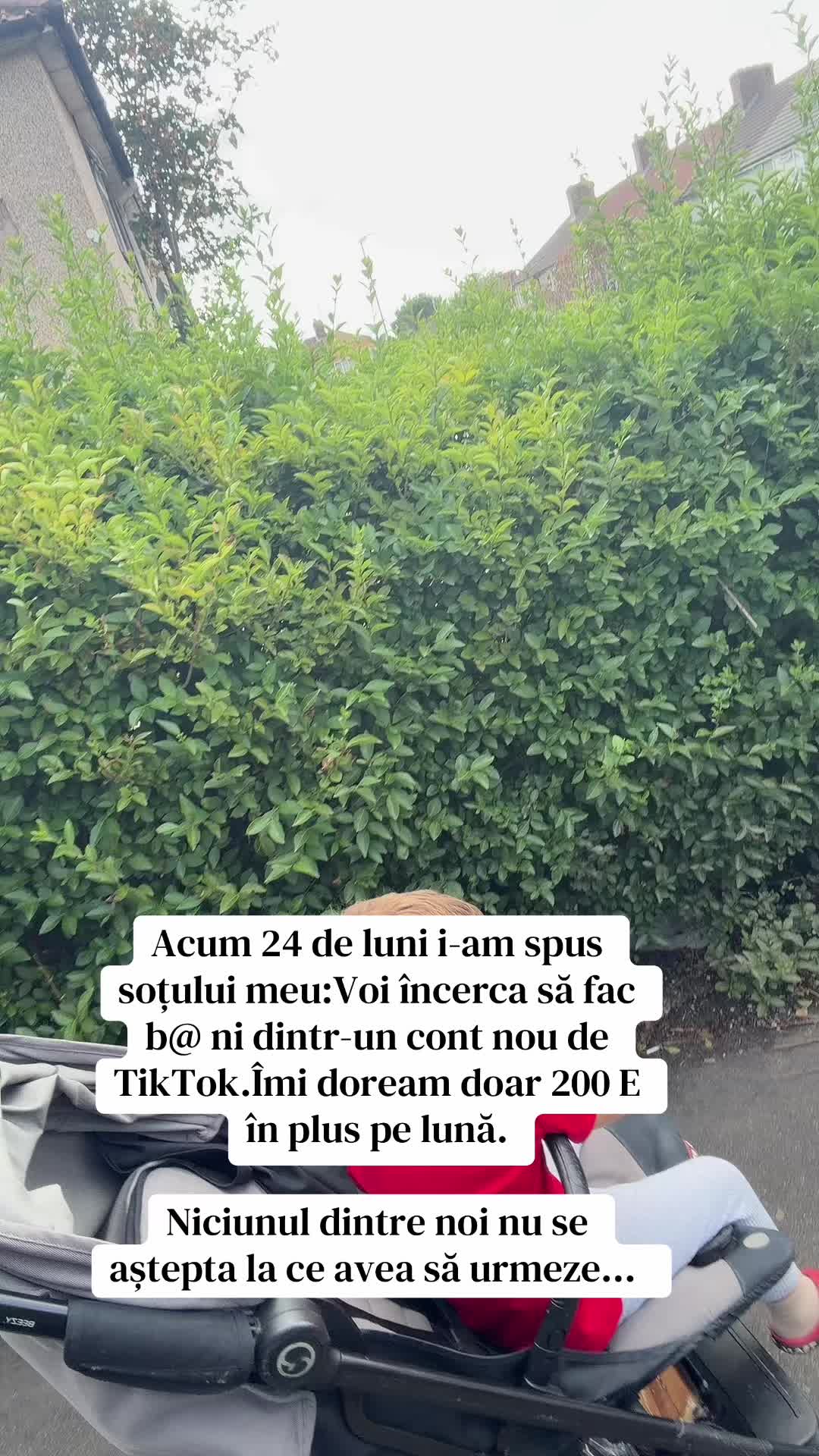 @Cristina Alina