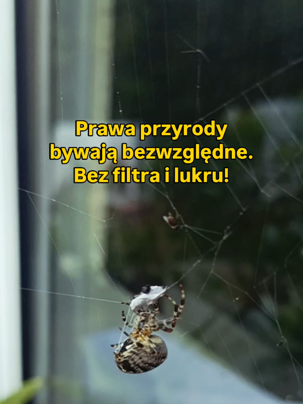 @Chwila Na Naturę🌿