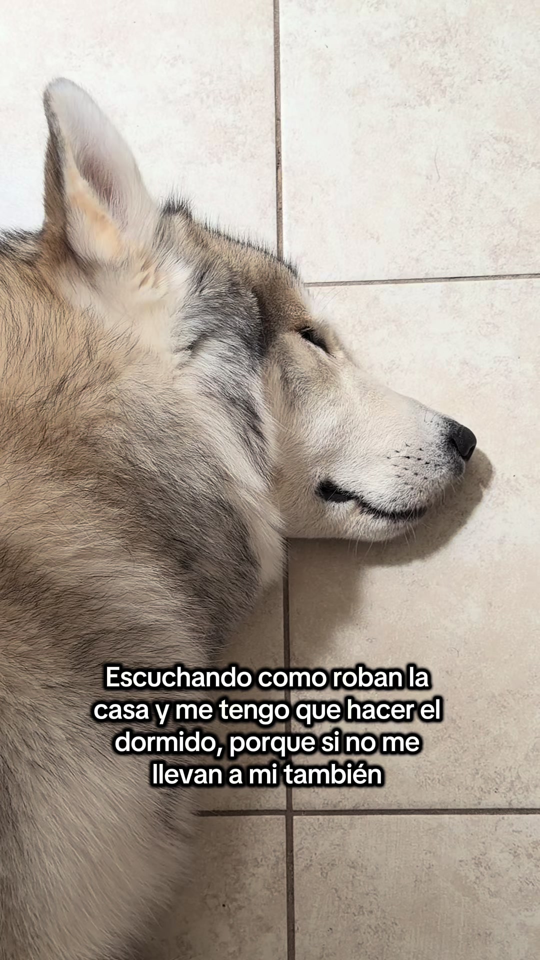 @KZ