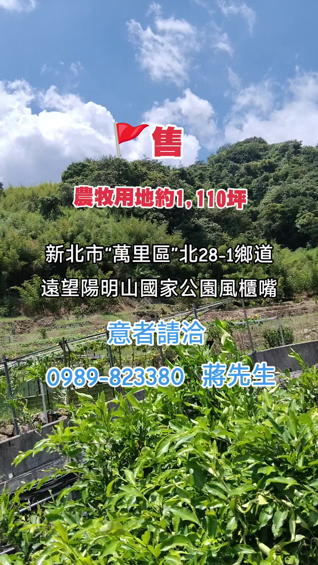 @浮生若夢
