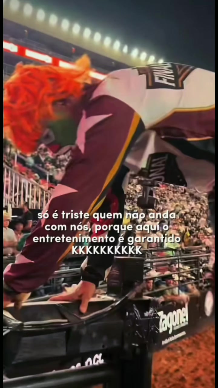 @Marcio Bortollotte🐬