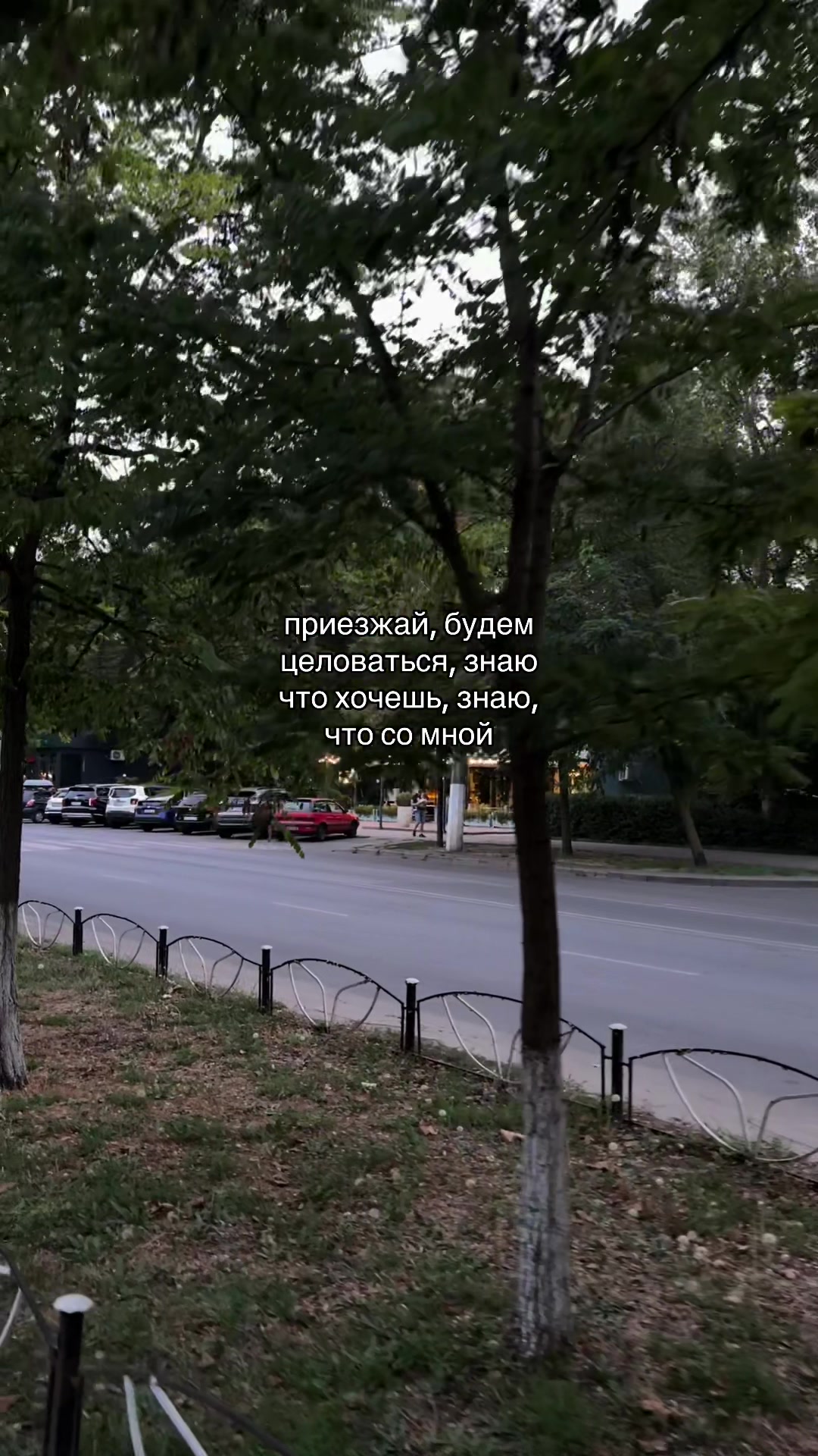 @кис кис💗