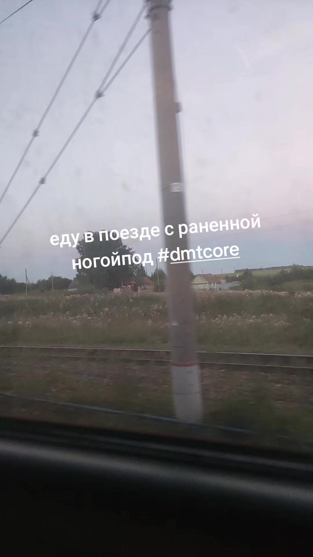 @свинка