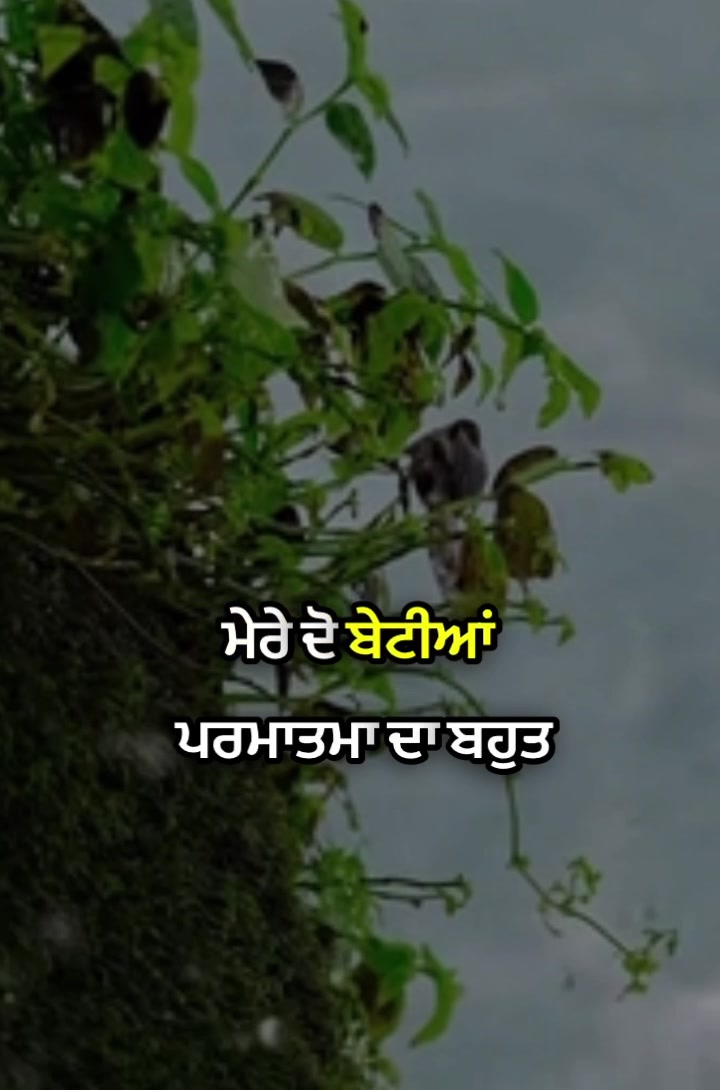 @Harjot Singh