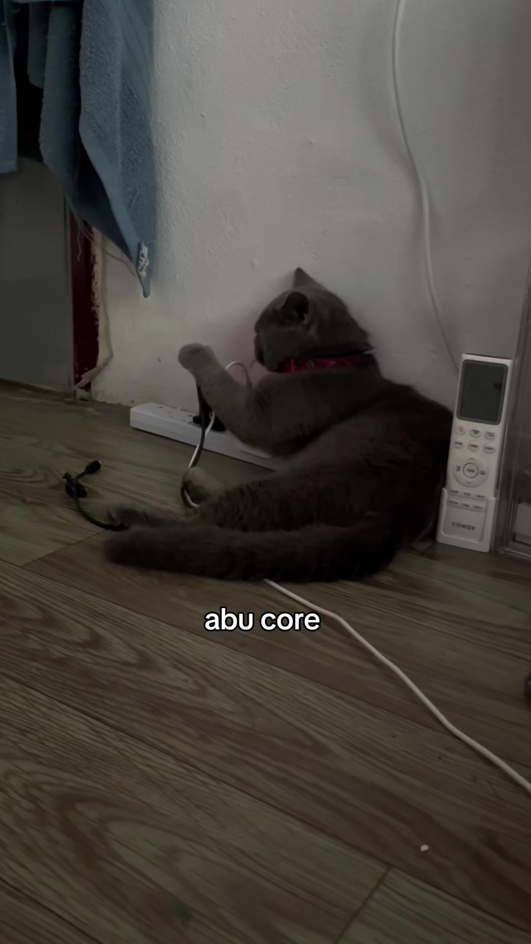 @𝒜𝓅𝑒𝓍𝓍𝓍𝒸𝒽𝒾𝓍𝓍𝓍