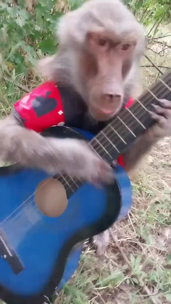 @promoting.babies