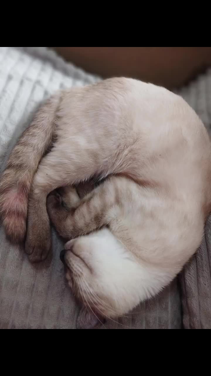 @СЕРГЕЕВНА