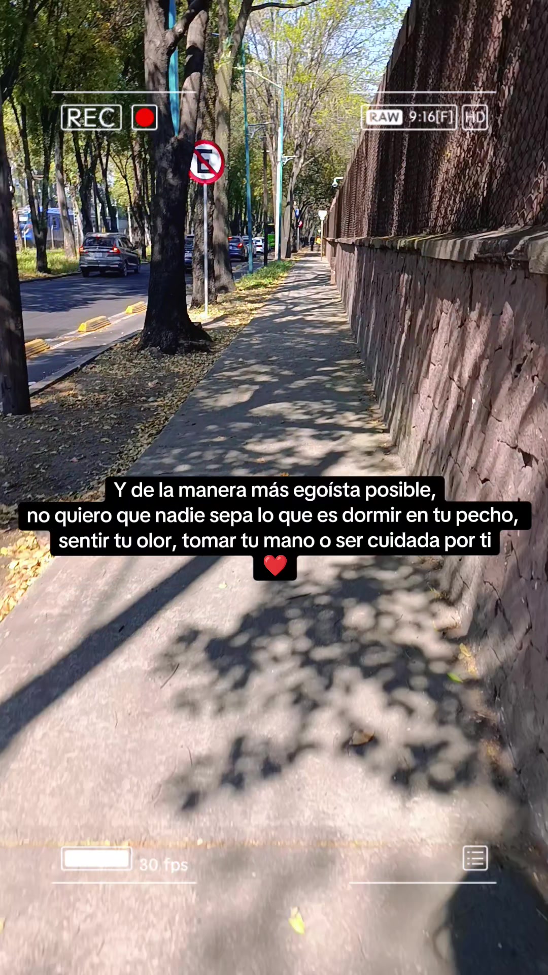 @Leslie DommWall