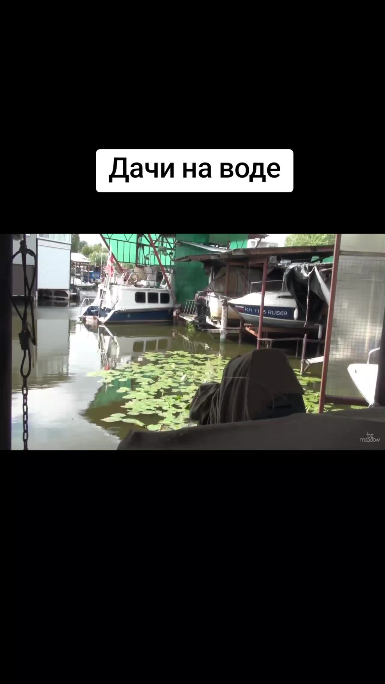 @Туманная поляна