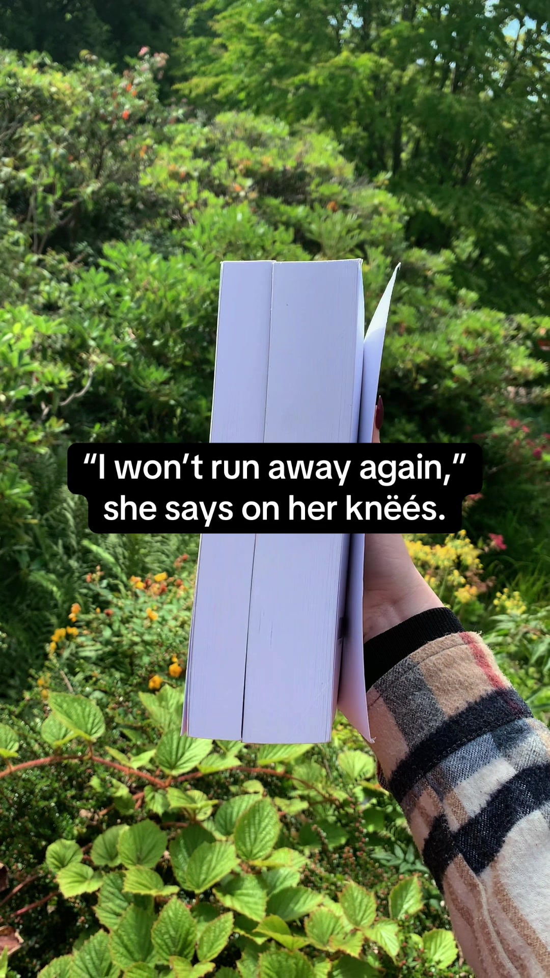 @Daniela A. Mera Books