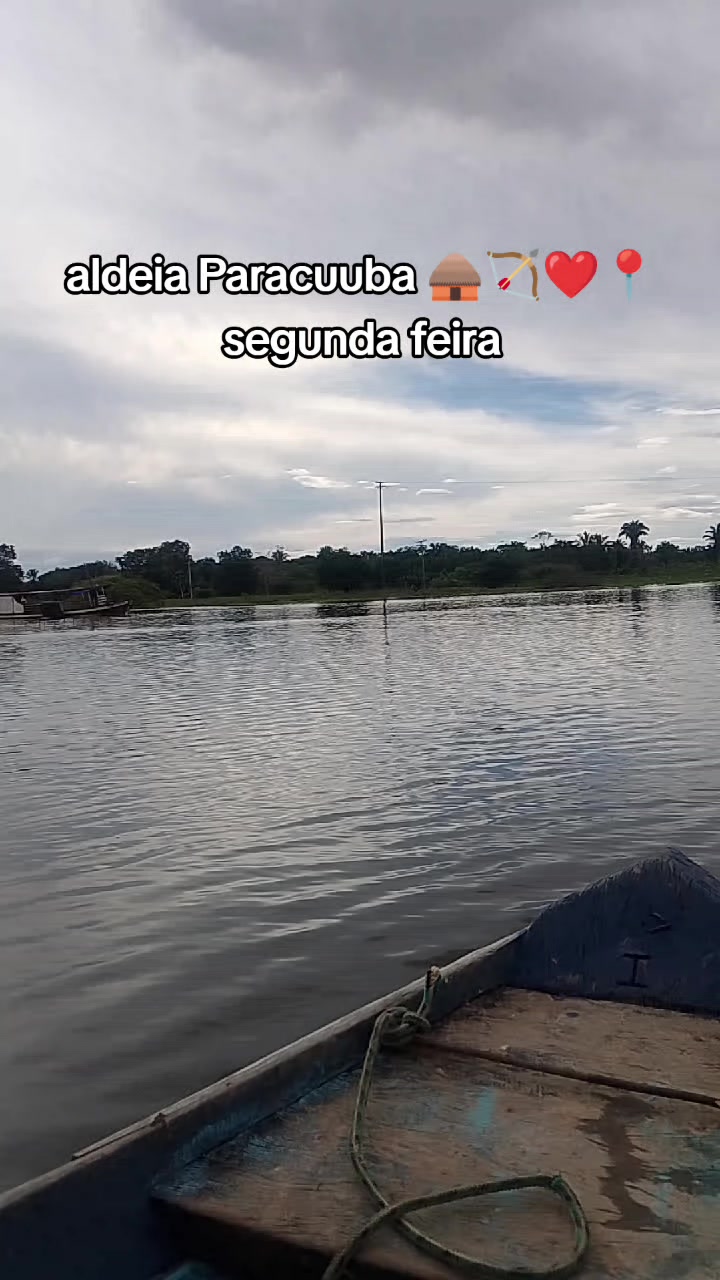 @carol santos