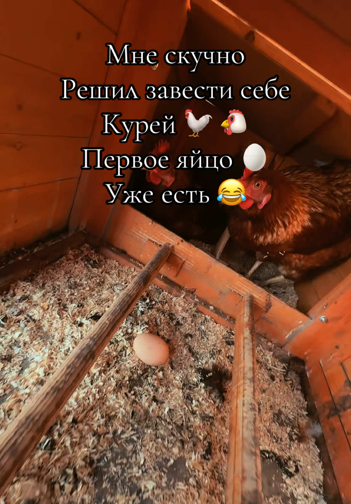@🇰🇿❤️🅒🅐🅗🅔🅚❤️🇰🇿