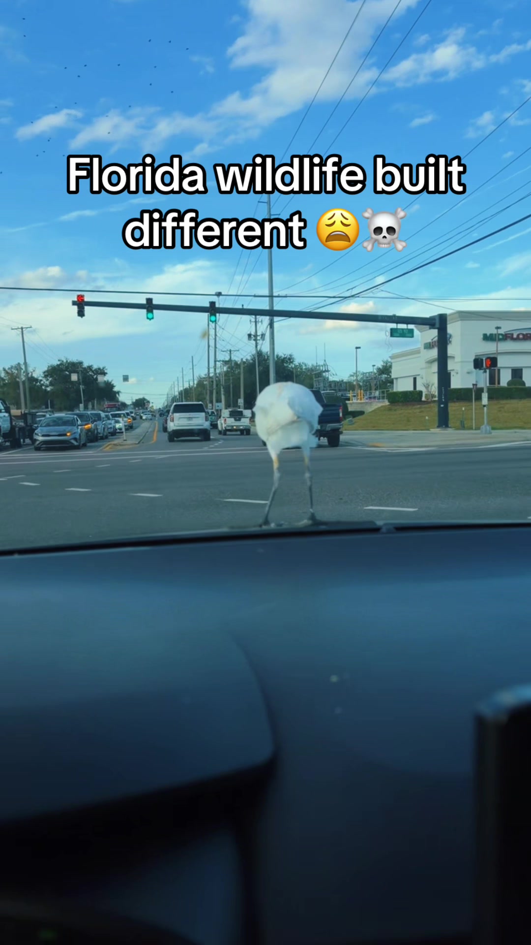 @MaMaRosaay🐐🐐
