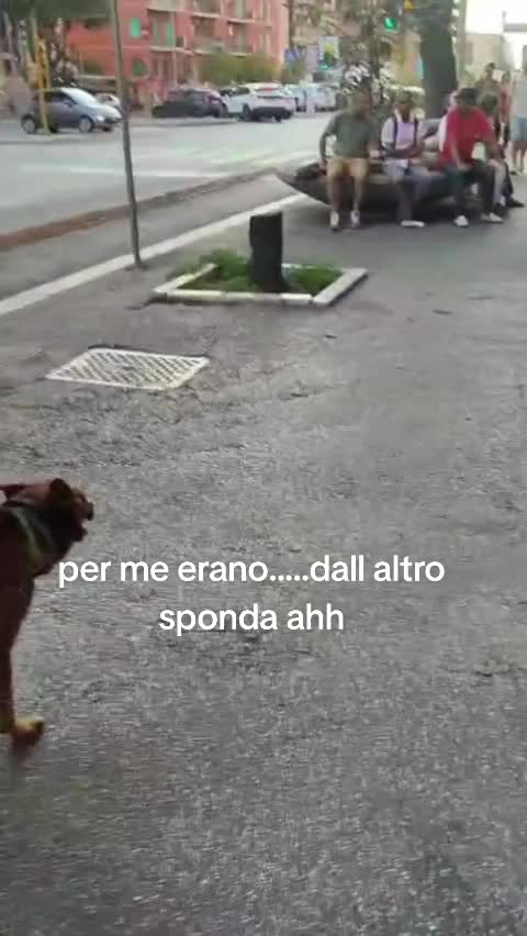 @FUEGOSSELVAGGIATYSON